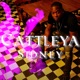 Cattleya Single