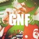 G N F Single