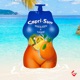 Capri Sun Single