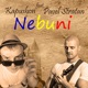Nebuni feat Pavel Stratan Single