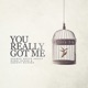 You Really Got Me Single
