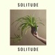 Solitude feat Ambient Endeavors Single