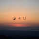 Fall For You Single