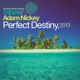 Perfect Destiny EP