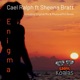 Enigma Single