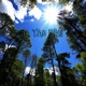 In The Sky Single