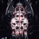 Black Fit siko Mix Single