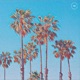 Chilling At the Coast Single