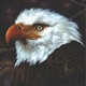 The Hawk Is Howling