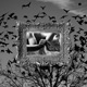150 Crows feat YvngCrow Single