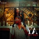 YA NO MÁS feat MOLE Single