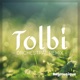 Tolbi From golden Sun Orchestral Remix Single
