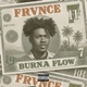 Burna Flow Anybody Single