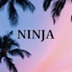 NINJA Single