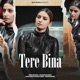 Tere Bina Single