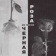Чёрная роза Single