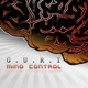 Mind Control Single