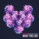 What You Like feat Kwesta Kyle Deutsch Single