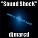 Sound Shock feat Public Enemy Bomb Squad Single