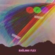BaglamaFlex Radio Edit Single