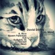 Cats Mind Remixes