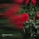 Forever Yours Single
