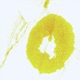 Halcyon Fire Single