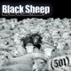 Black Sheep