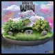 Born Fe Win Single