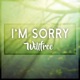I m Sorry Single