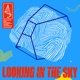 Looking in the Sky Single