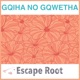 Gqiha No Gqwetha Single