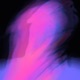 Euphoria Single