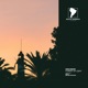 Forest of Light Single