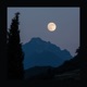 Night Secret Single