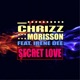 Secret Love feat Irene Dee Single