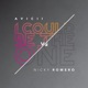 I Could Be the One Avicii vs Nicky Romero Remixes Single