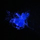 Empathy Single