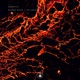 Blood Feud Go Insane Single