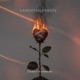Lamentablemente Single