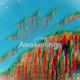 Awakenings Single