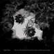 Night Bloom feat Nora Yuyue Zheng Torii Wolf
