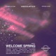 Spring Breakers Radio Edit Single