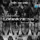 Darkness feat Lil Bat Single