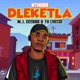 Dleketla feat M J Ceebar Tk Cheeze Single