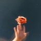 Memories Single