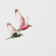 Bird Song feat Clay258 Single