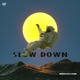 Slow Down Single