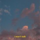I Won t Talk Single