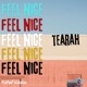 Feel Nice Single